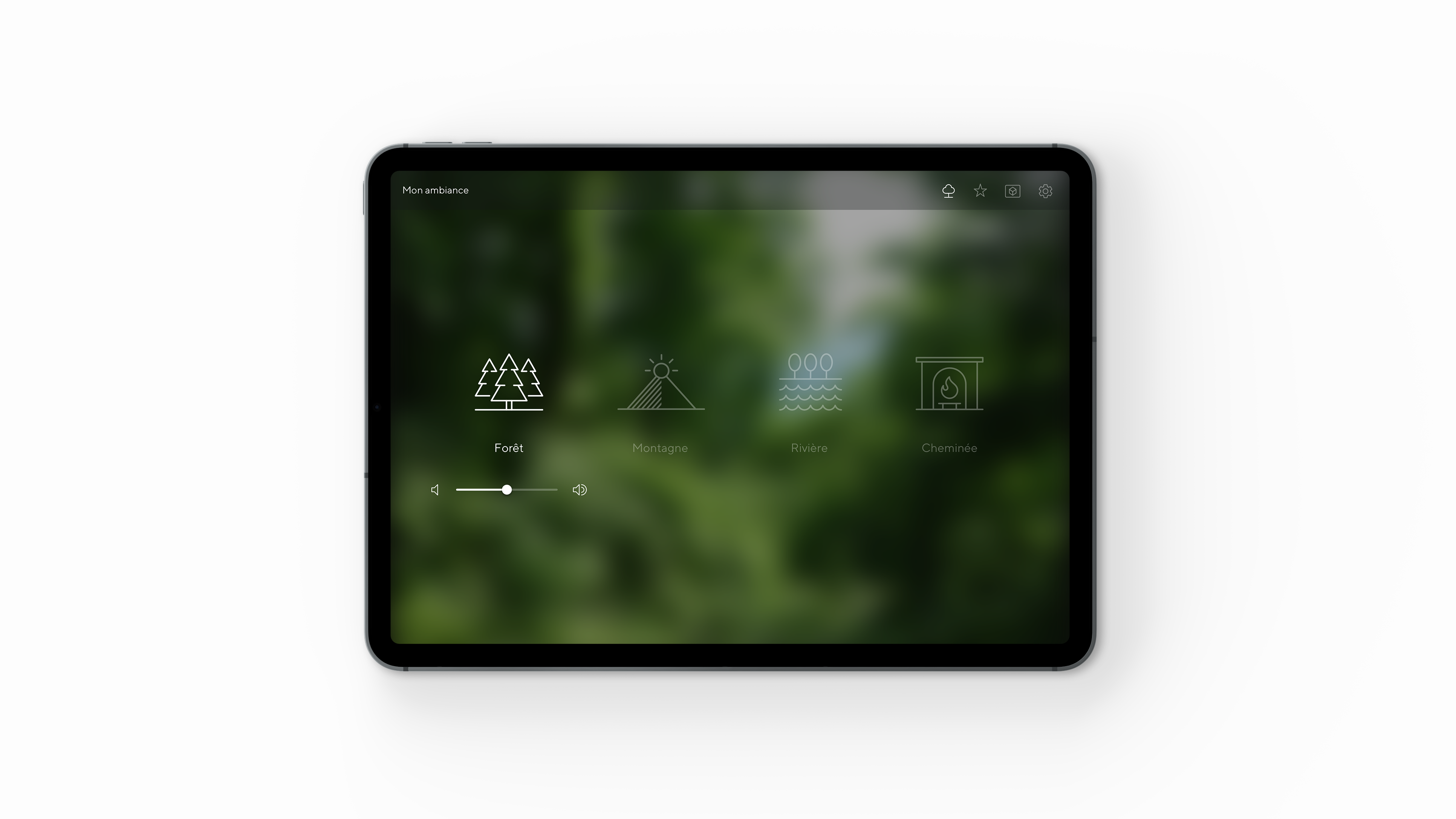 5-Mon-Ambiance-Forêt-iPad-Mockup